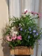 Jardin fleuri - 1